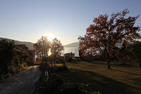 Plot in Kumbor