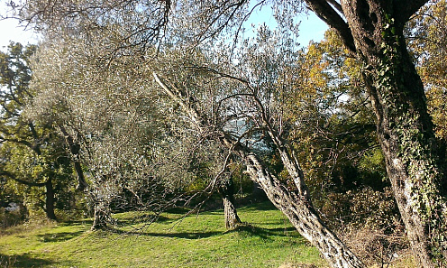 Land with view in Tivat — photo 2