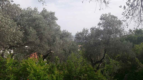 Land in Budva — photo 2