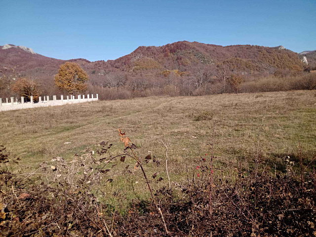 Plot in Kolasin