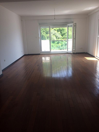 Two-bedroom apartment in Petrovac