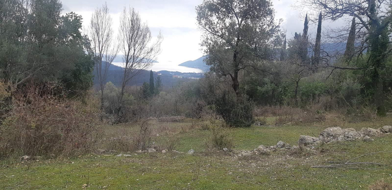 Plot of 9800 m2 in one of the districts of Herceg Novi - Mojdez