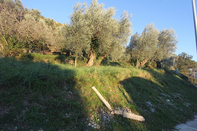 Plot in Petrovac
