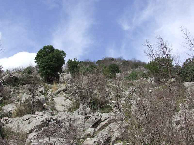 1652 Kotor Risan Plot 13700m2 — photo 3