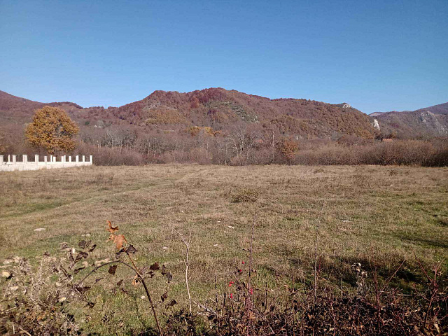 Plot in Kolasin