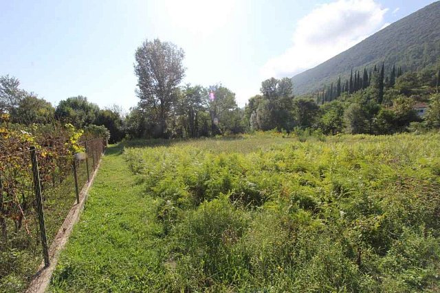 Plot in Sutorina, Herceg Novi — photo 4