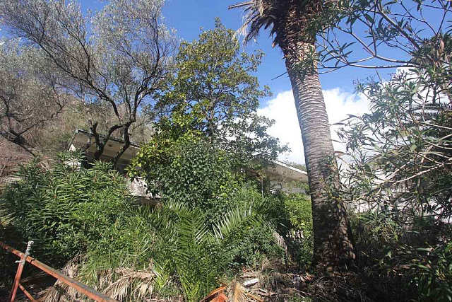 Two houses in Becici — photo 4