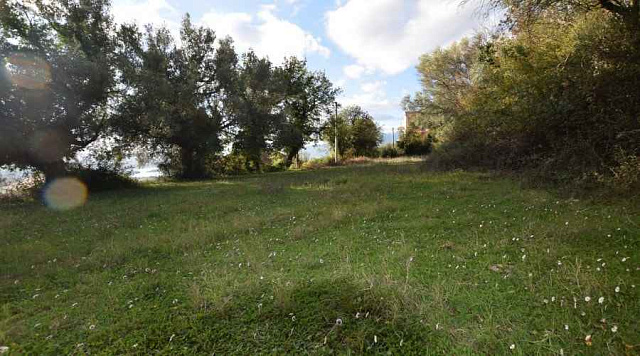 Land in Kotor — photo 5