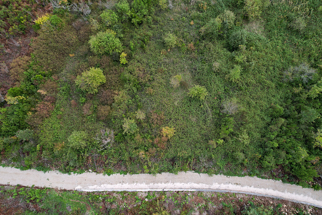 Plot in Gosici — photo 10