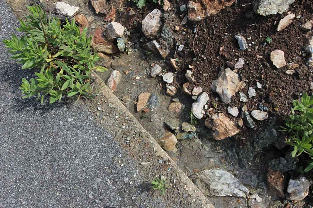 Plot Lastva Grbaljska — photo 4