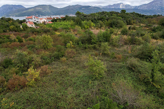 Plot in Gosici — photo 12