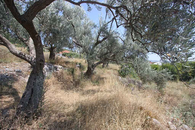 Plot in Dobre Vodу — photo 11