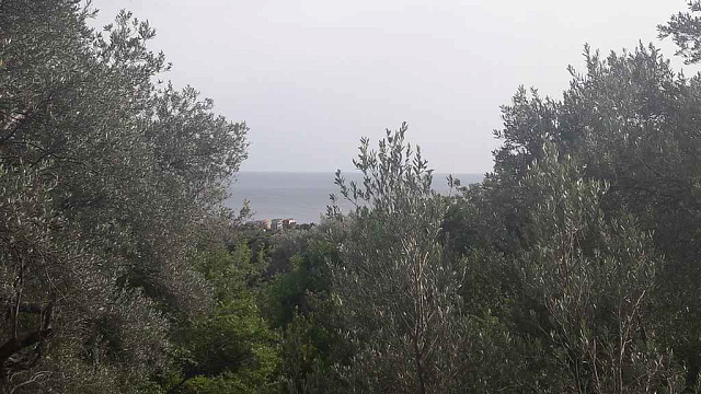 Land in Budva — photo 6