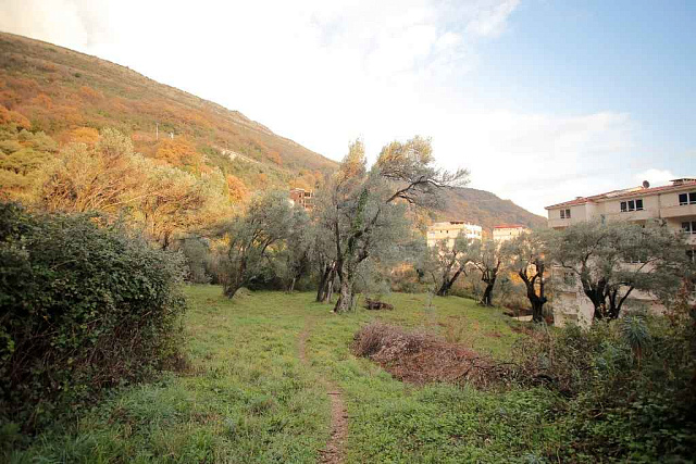 Plot in Petrovac