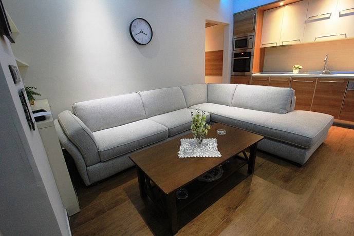 Furnished one-bedroom apartment on the first line in Rafailovići