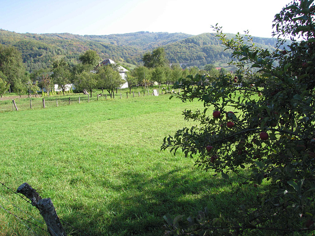 Land in Kolasin — photo 6