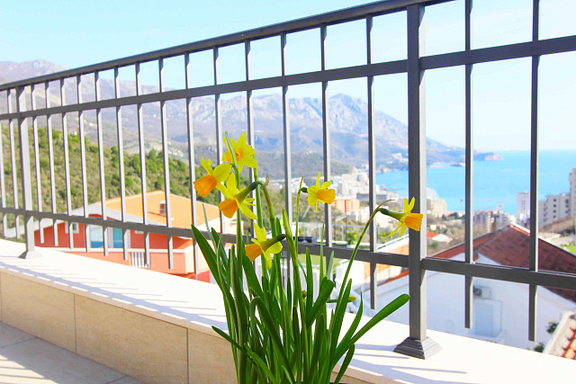 House with 5 separate apartments in Becici with sea view — photo 12