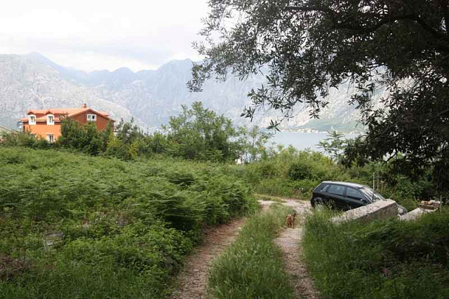 Land plot in Kotor — photo 9