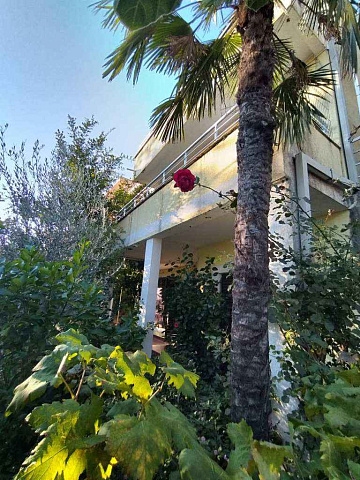 House in Budva