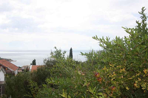 Plot in Dobre Vode  — photo 2