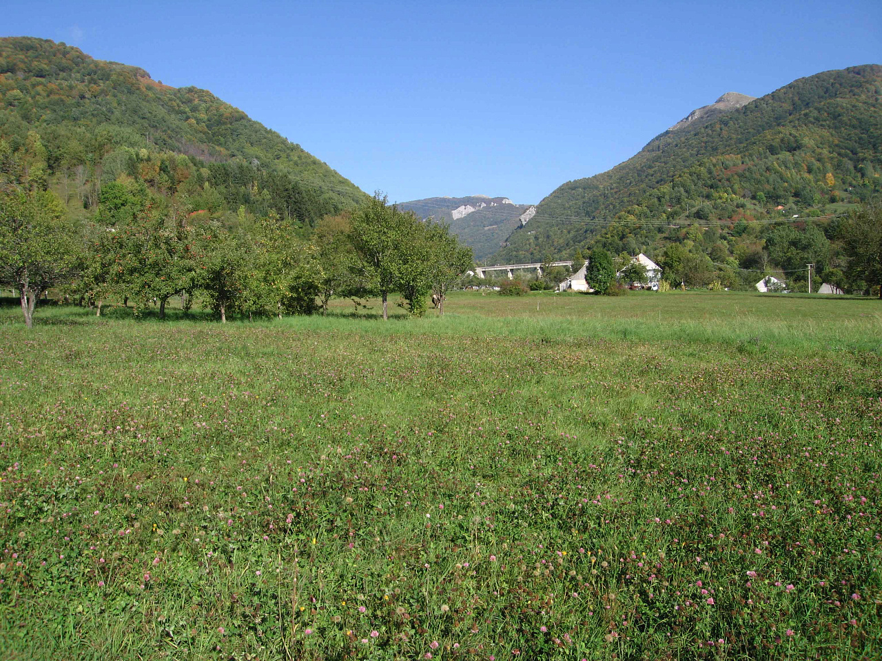 Land in Kolasin