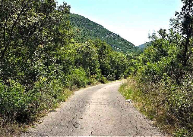 Urbanized 1313 m² plot of land in Kolasin, ideal for residential building  — photo 4