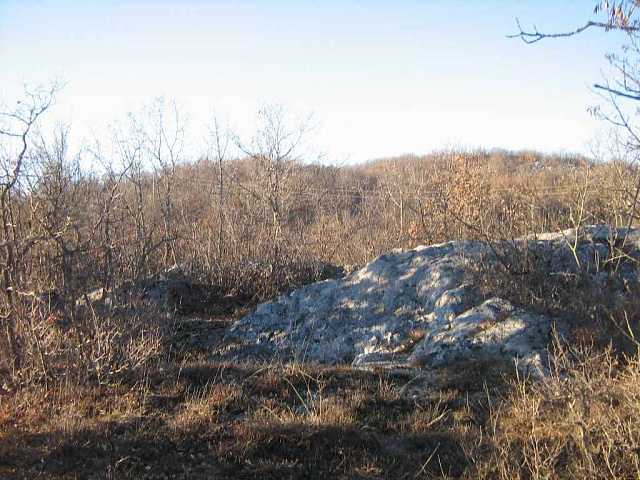 Plot in Vilusi — photo 9