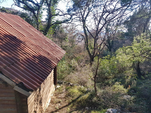 Plot in Lazi