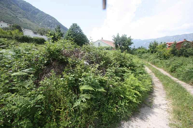 Land plot in Kotor — photo 6