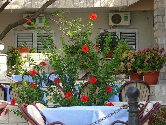 Hotel in Baosici — photo 4