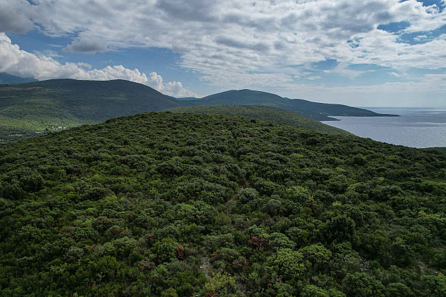 Plot in Bigova — photo 10