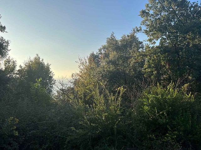 Plot of land with sea view in Pechurice — photo 7