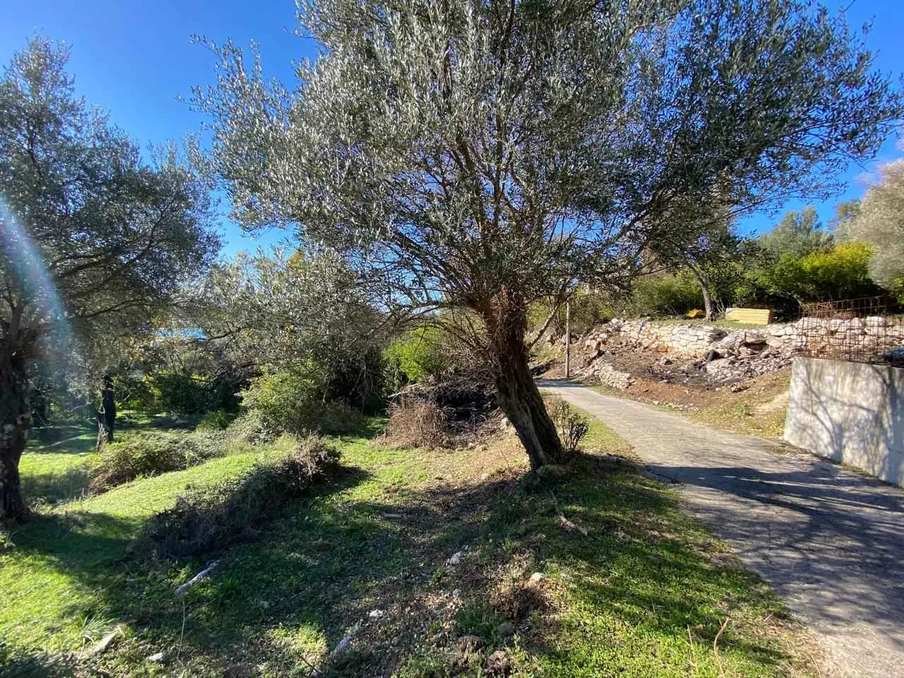 4,216 m² land plot in Mrčevac, Tivat, with sea views and UTU.
