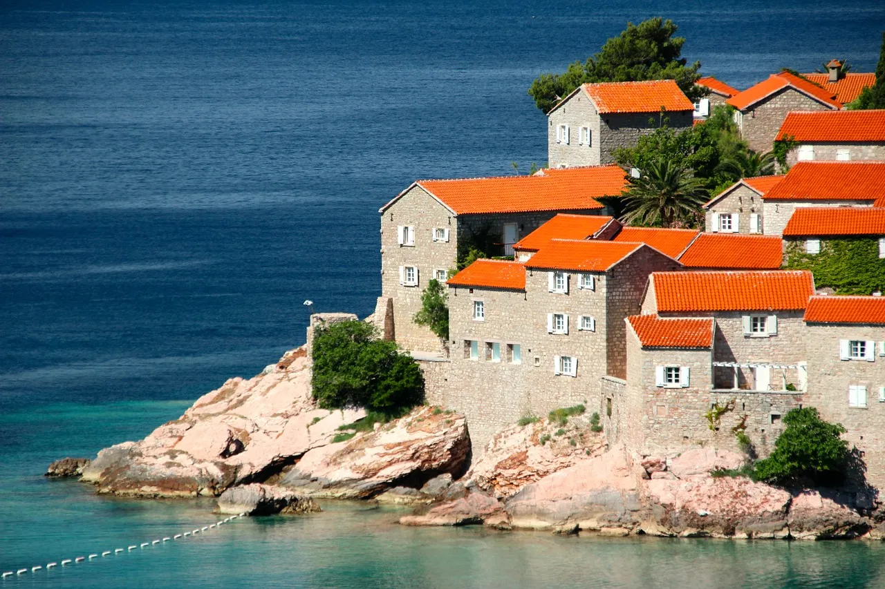 cmm-montenegro