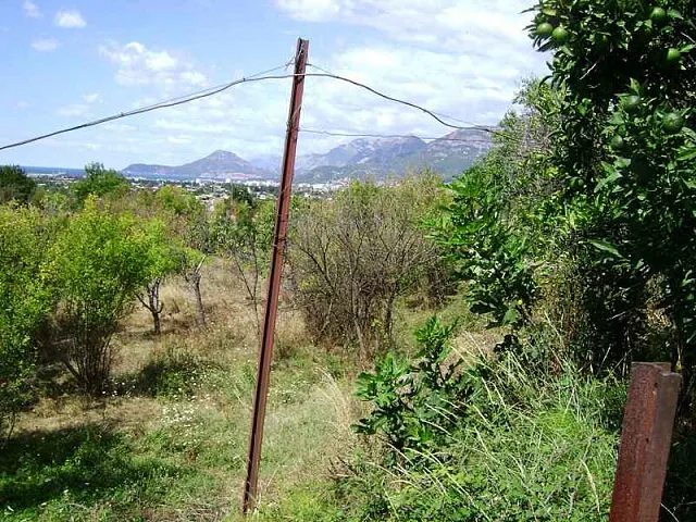 Land in Bar