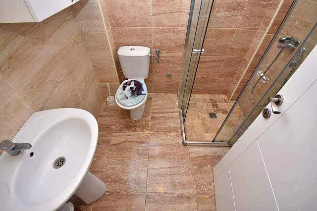 6454 Igalo Herceg Novi 2r apartment 55 m2 — photo 5