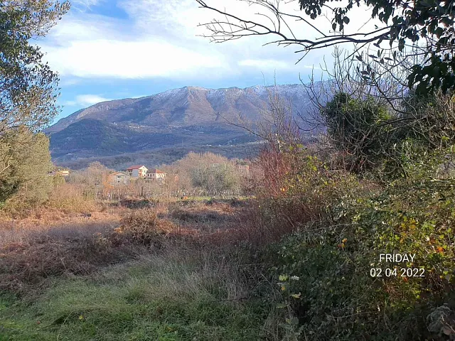 Plot in Radanovici