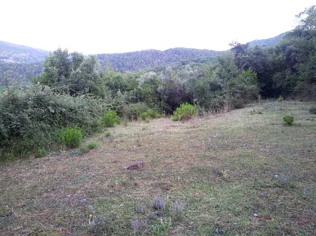 Land in Herceg Novi