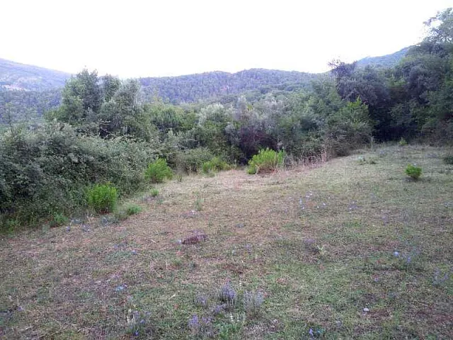 Land in Herceg Novi