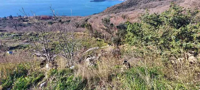 Plot in Blizikuce, Sveti Stefan, Budva — photo 6