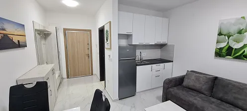 Comfortable studio with a large terrace