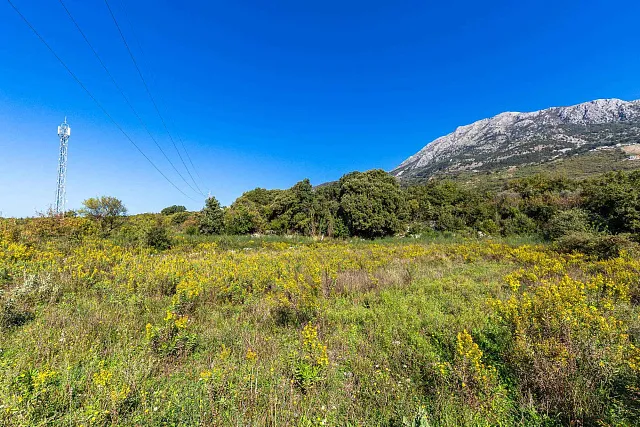 Plot in Bar-Pečurice 2003m²