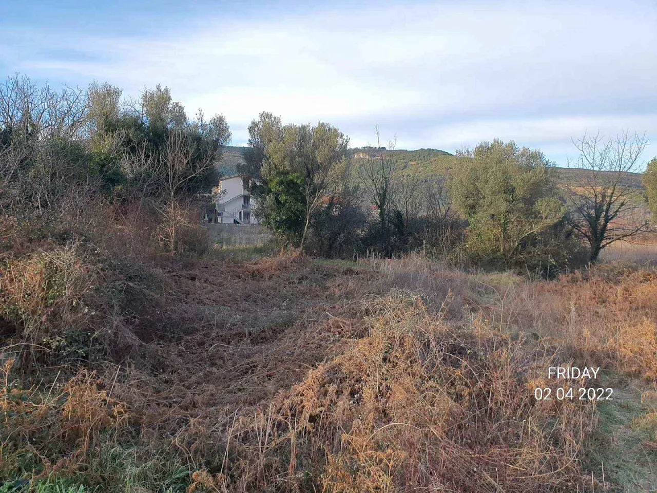 Plot in Radanovici