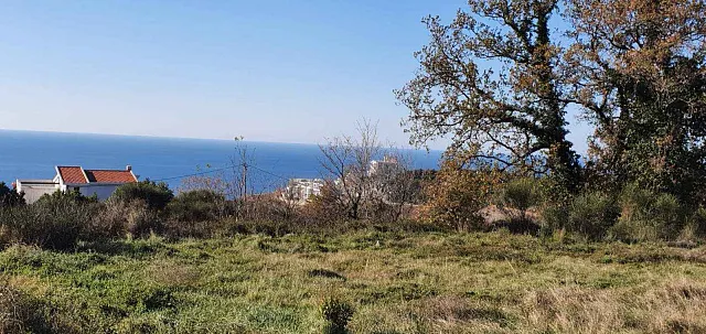 Four plots with panoramic sea views in Dobra Voda — photo 4