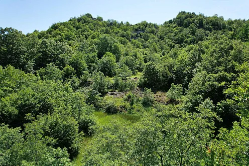 ATTRACTIVE LAND FOR SALE IN CETINJE – 1,000 m² BY THE ROAD — photo 2