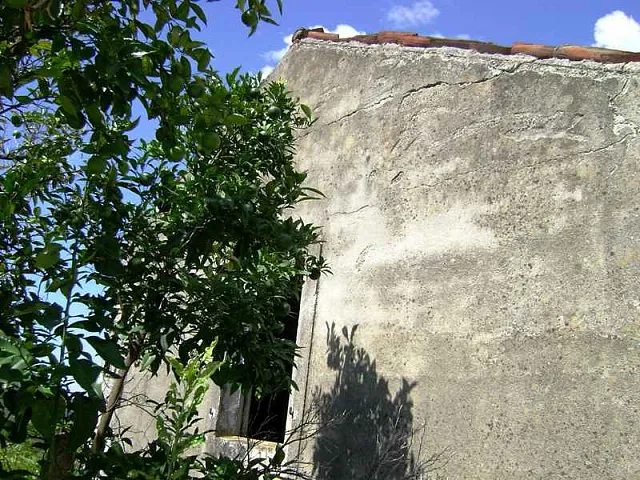 Land in Bar — photo 5