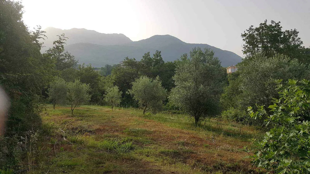 Plot of 1000 m2 in Radanovici