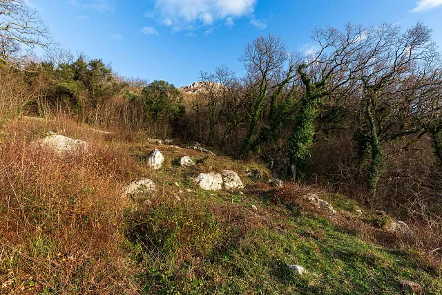 2170 m² Land in Kuljače — photo 8