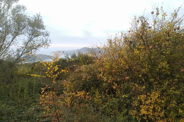 Land in Budva — photo 12