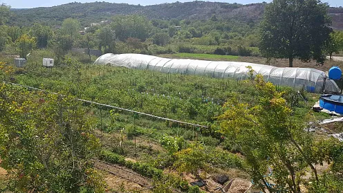 Plot in Radanovici with agricultural intention